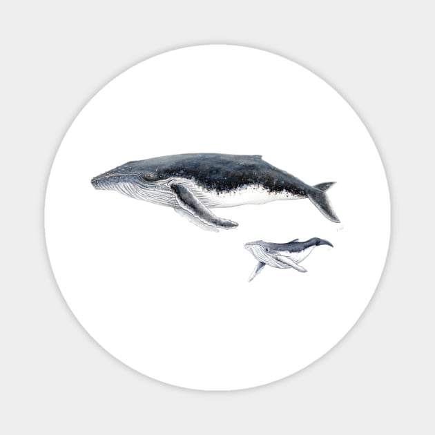 Humpback whale mother and baby whale Magnet by chloeyzoard